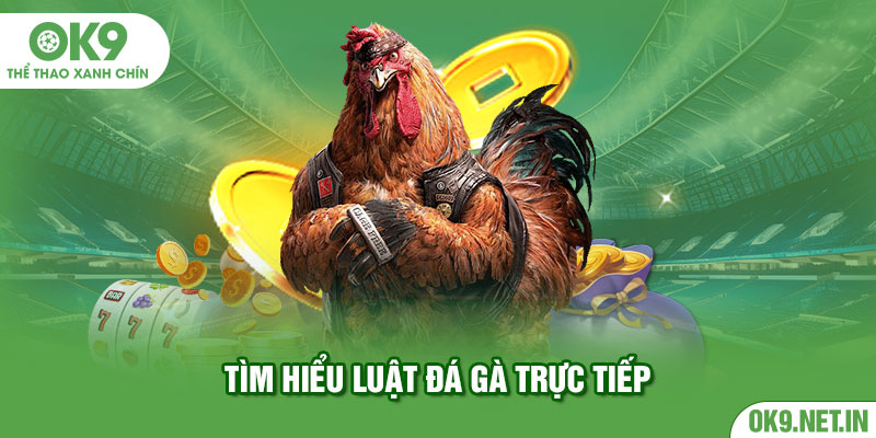 Tìm hiểu luật đá gà trực tiếp